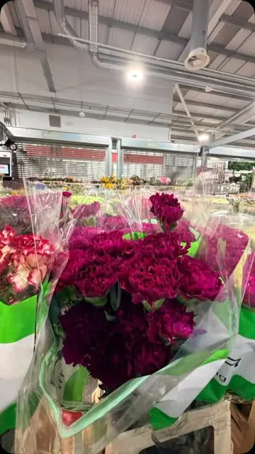 My wedding flower shopping at 3am @marketflowers   Stunning colours, shapes a...